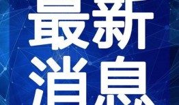 阿姨奶茶爆料视频大全最新,揭秘奶茶界最新动态与秘籍