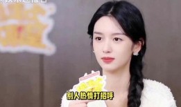 六公主最新爆料,揭秘娱乐圈幕后真相