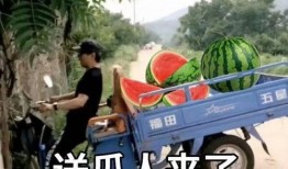娱乐吃瓜文案搞笑头像,搞笑头像背后的娱乐盛宴