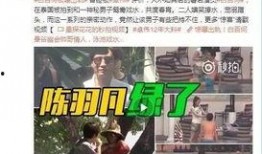 岑先生被爆料是真的吗视频,视频揭露惊人内幕
