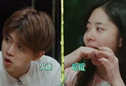 娱乐吃瓜爆料直播真假,娱乐吃瓜爆料，真假难辨的直播风云